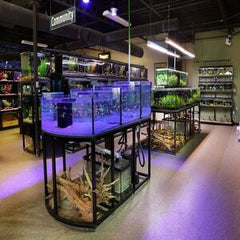 Aquarium Equipment