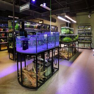 Aquarium Equipment