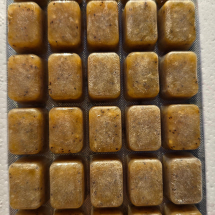 Mysis - Frozen food- 100g blister