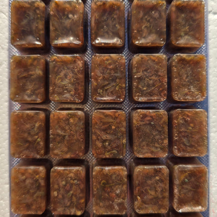 Artemia - frozen food -100g blisters