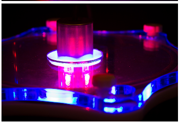 Skimz MBR 157 - Macro algae reactor