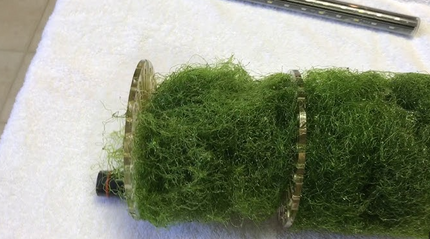 Skimz MBR 127- Macro algae reactor